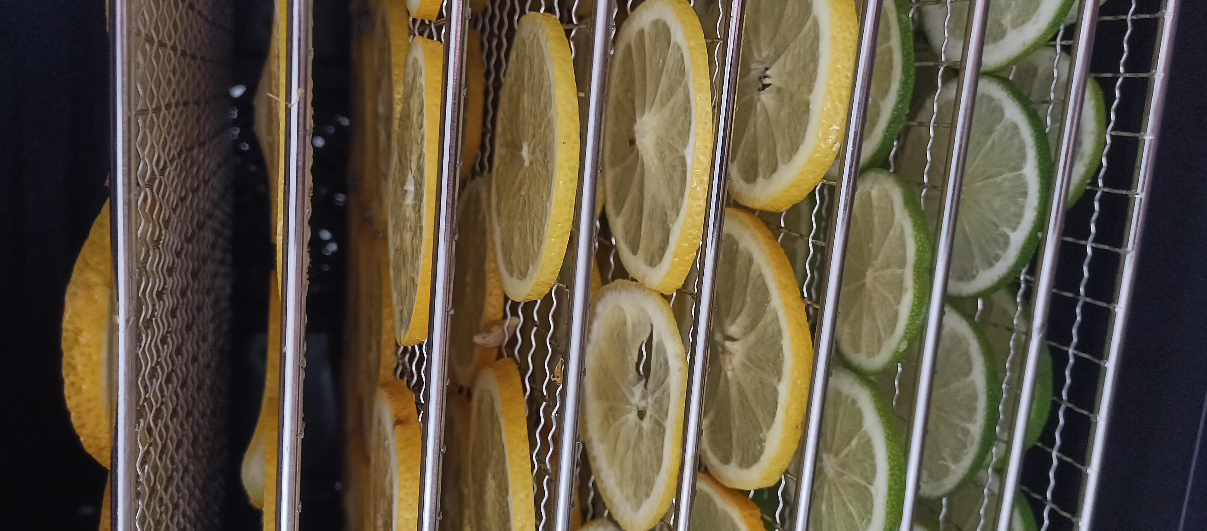 Bandejas de cítricos dentro del equipo de deshidratación